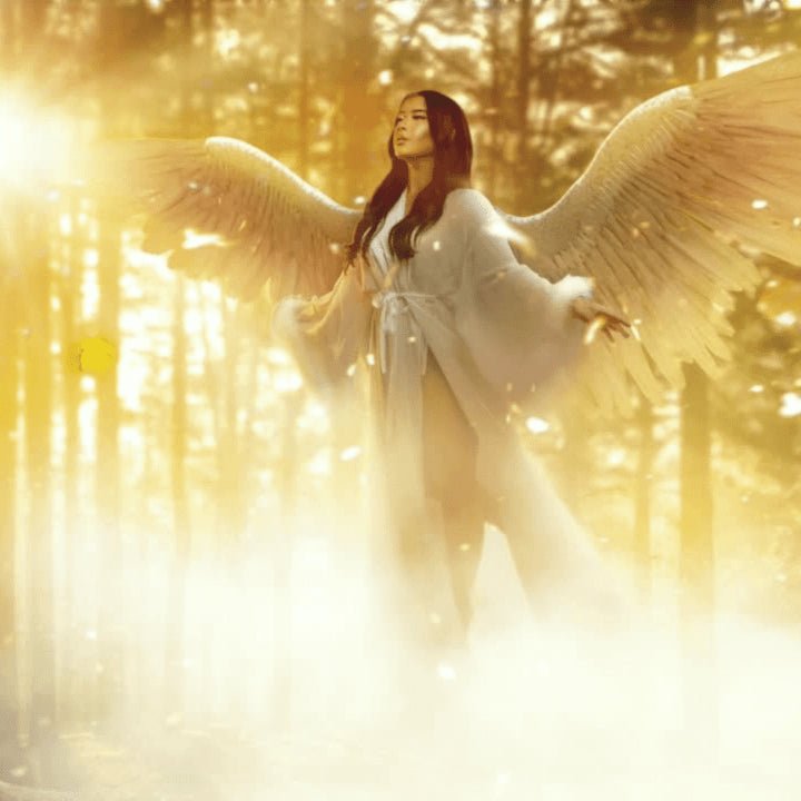 Formation Guérisseur de Lumière niveau 1 (1ère partie): Maîtrise Énergétique et Spirituelle disponible chez Les Flammes de la Lumière