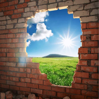 Harmonisation et LibĂ©ration ĂnergĂ©tique: Purification de Lieux disponible chez Les Flammes de la LumiĂšre