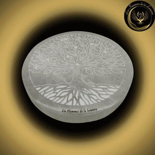 Sélénite - TrÚs beau Porte-Encens - Arbre de Vie - 10cm disponible chez Les Flammes de la LumiÚre