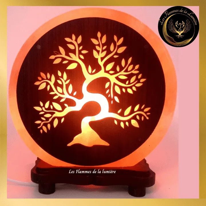 Sublime Lampe de Sel de l'Himalaya Arbre de Vie N°1 -5kg - Esoterra disponible chez Les Flammes de la LumiÚre