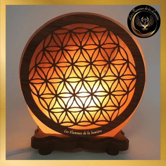 Sublime Lampe de Sel de l'Himalaya Fleur de Vie N°1 -5kg - Esoterra disponible chez Les Flammes de la Lumière