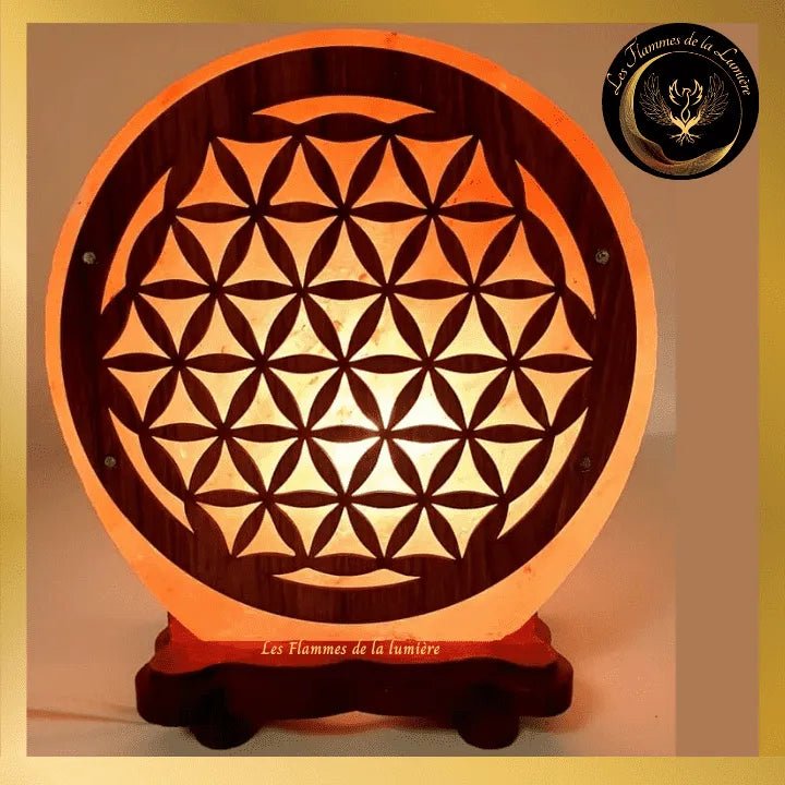 Sublime Lampe de Sel de l'Himalaya Fleur de Vie N°2 -5kg - Esoterra disponible chez Les Flammes de la Lumière