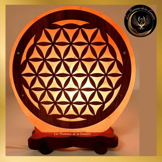 Sublime Lampe de Sel de l'Himalaya Fleur de Vie N°2 -5kg - Esoterra disponible chez Les Flammes de la Lumière