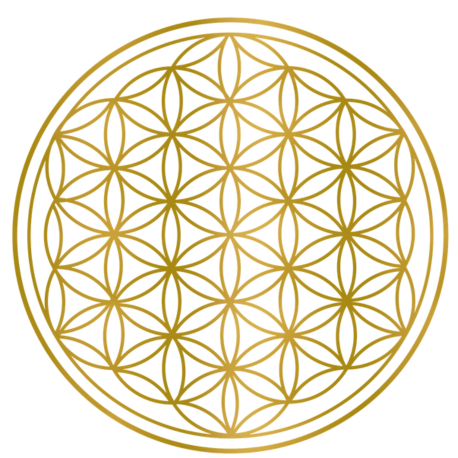 La Fleur de Vie : Un Symbole Universel de Vie et d'Harmonie