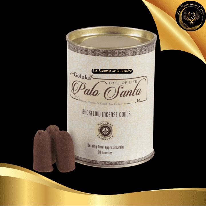 Encens en cônes backflow