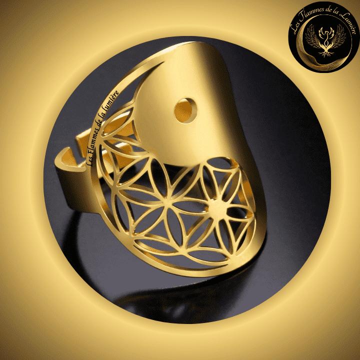 Bagues en acier inoxydable