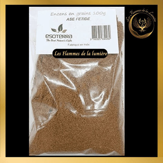 Encens Ase Fétide (asa-fœtida) 100g - en grains - Esoterra disponible chez Les Flammes de la Lumière