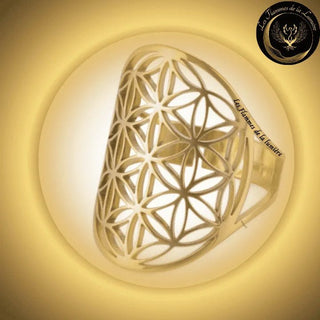 Magnifique Bague ajustable - Fleur de vie - acier inoxydable - géométrie sacrée disponible chez Les Flammes de la Lumière