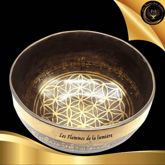 Magnifique Bol Tibétain en bronze pur - 15 cm - 700g - Géométrie Sacrée - Fleur de Vie disponible chez Les Flammes de la Lumière
