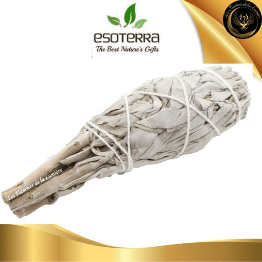 Sauge Blanche de Californie Torche 20-25g - pour Fumigation disponible chez Les Flammes de la Lumière